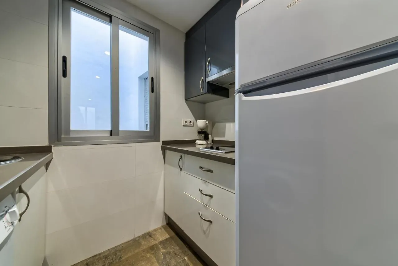 H2Granada En Centro Terraza-Solarium & Parking Apartment  Granada