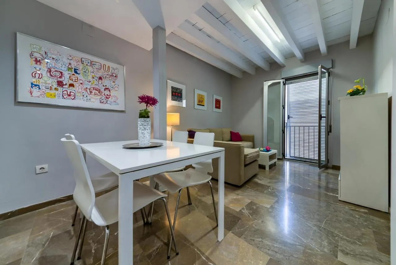 H2Granada En Centro Terraza-Solarium & Parking Apartment 0*, Granada