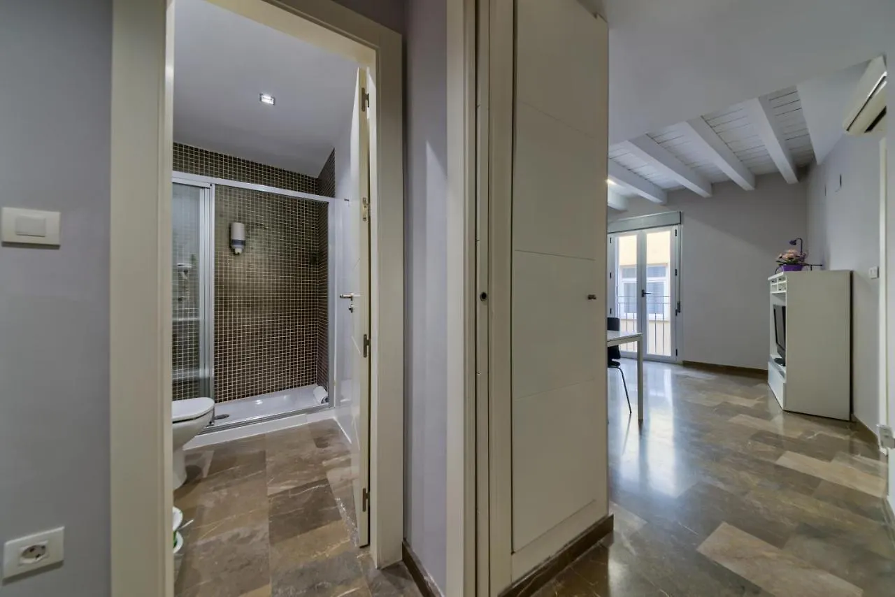 H2Granada En Centro Terraza-Solarium & Parking Apartment Granada