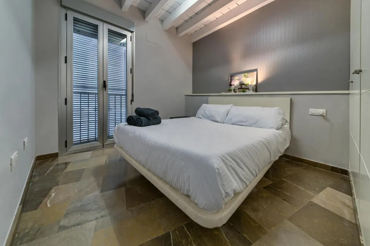 H2Granada En Centro Terraza-Solarium & Parking Apartment Spain
