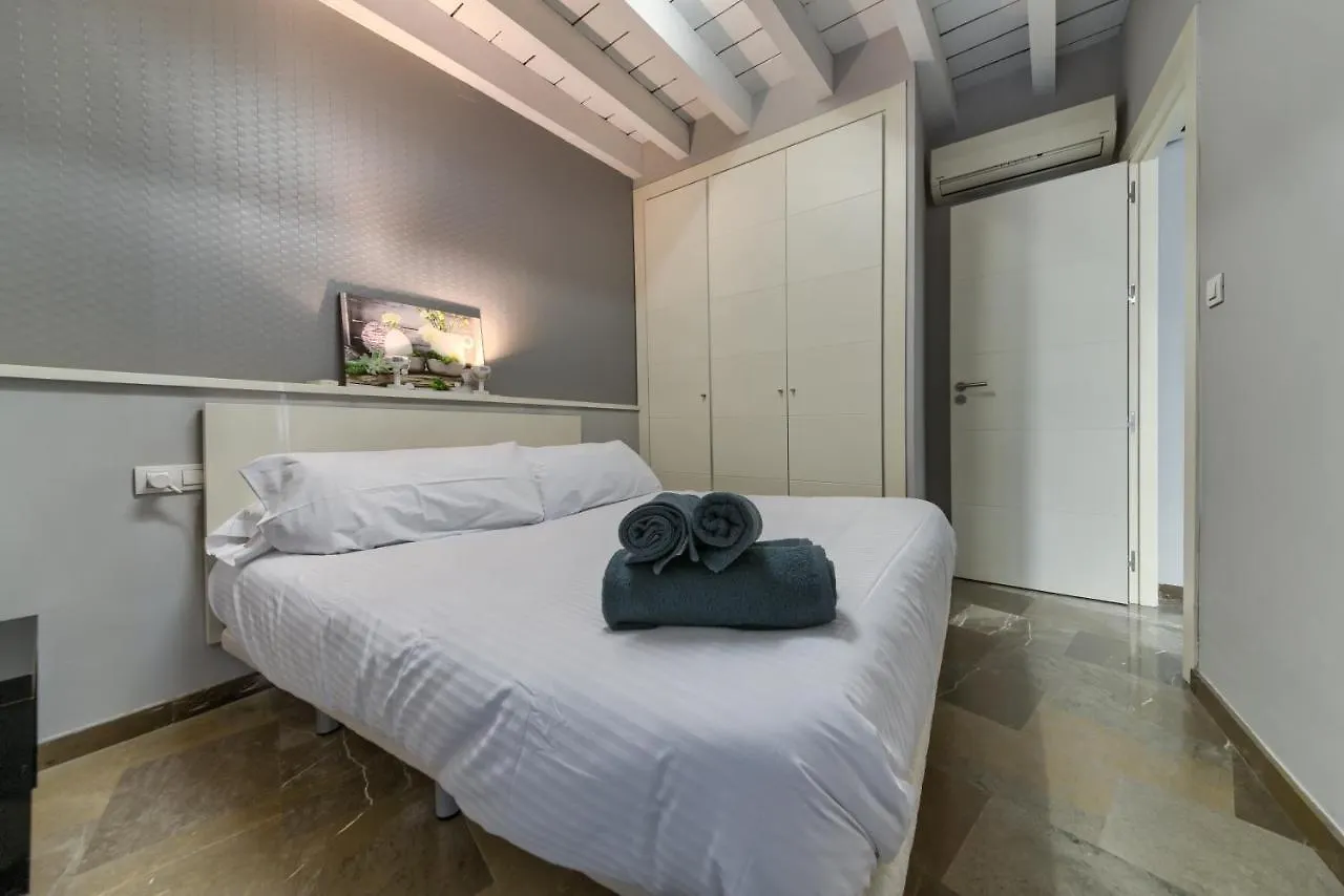 H2Granada En Centro Terraza-Solarium & Parking Apartment 0*, Granada
