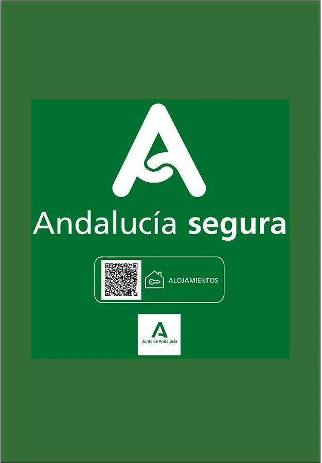 H2Granada En Centro Terraza-Solarium & Parking Apartment